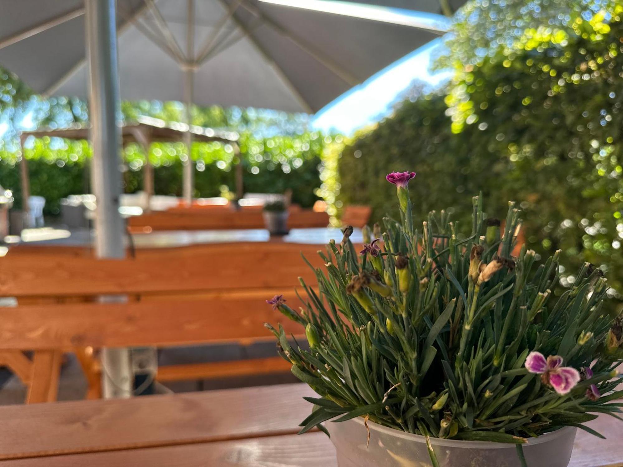 Hotel Schultheiss Hameln Хамелн Екстериор снимка